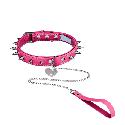 Vei: Snax Spiked Dog Collar + Leash