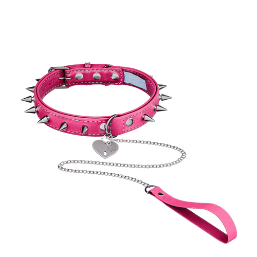Vei: Snax Spiked Dog Collar + Leash
