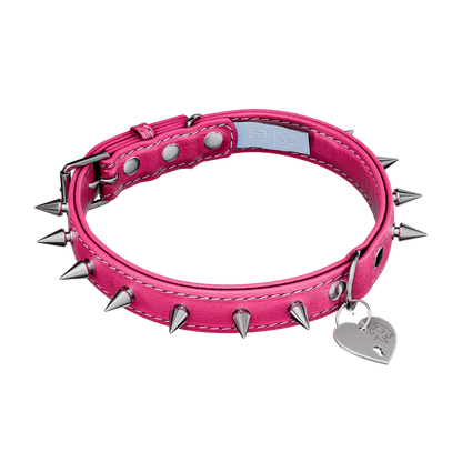 Vei: Snax Spiked Dog Collar + Leash