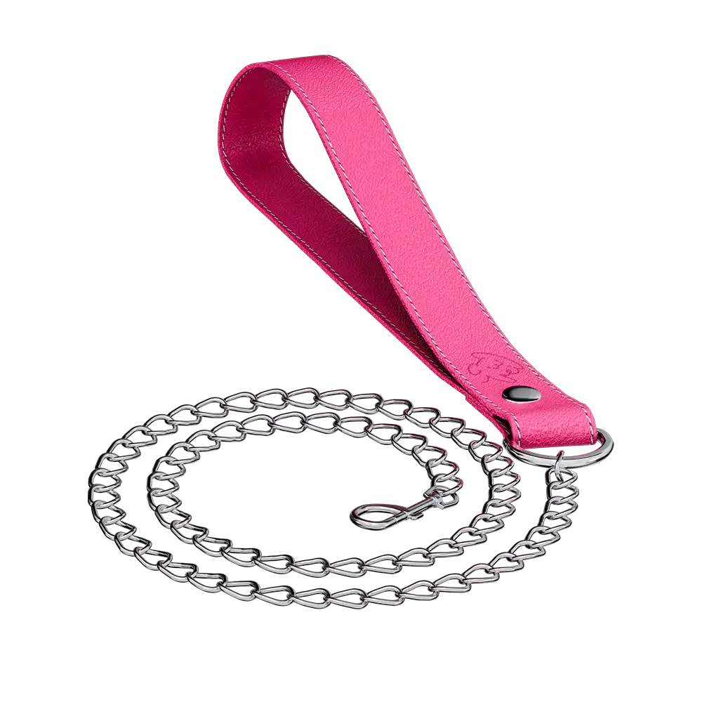 Vei: Snax Spiked Dog Collar + Leash