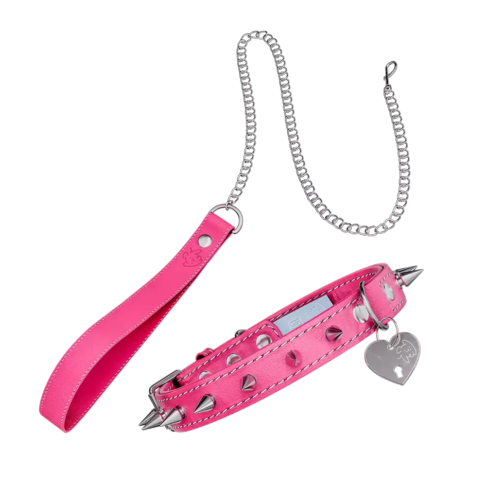 Vei: Snax Spiked Dog Collar + Leash
